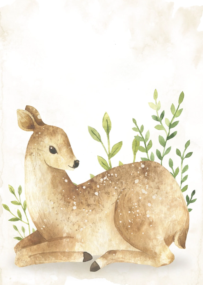 Deer