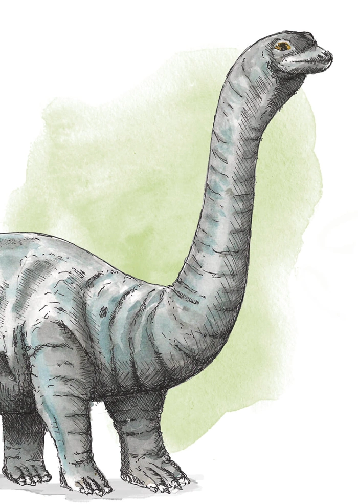 Brachiosaurus