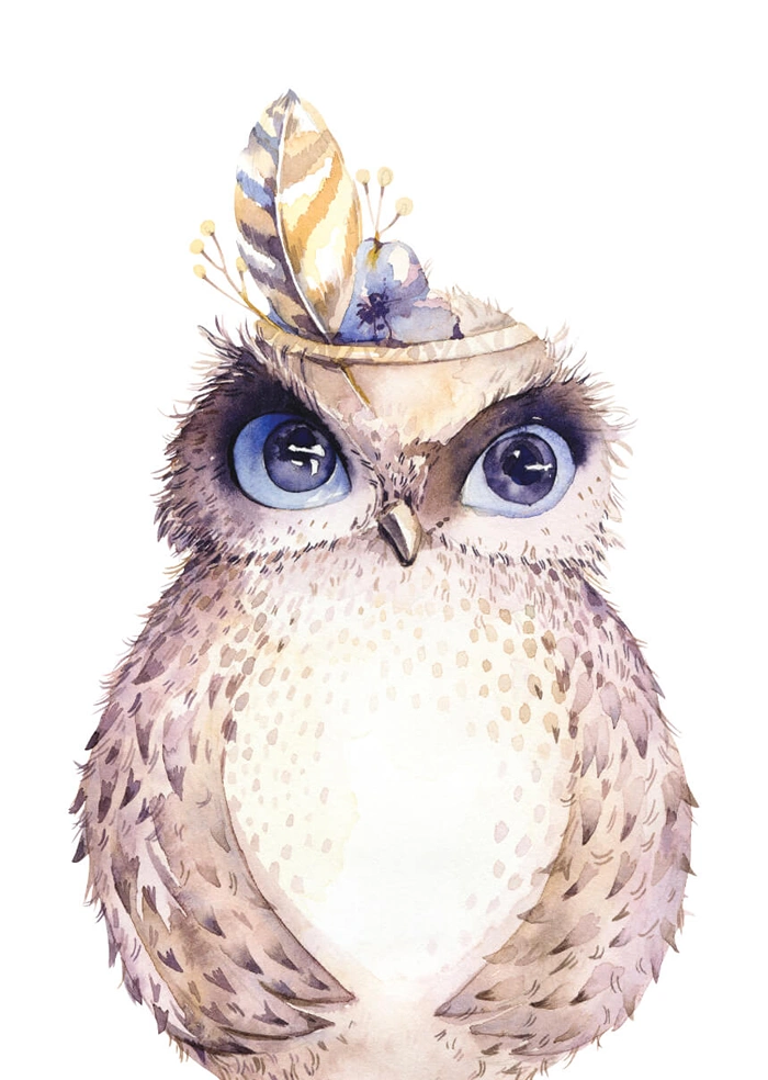 Little owl