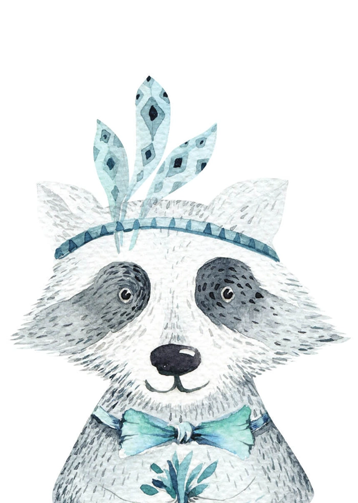Raccoon