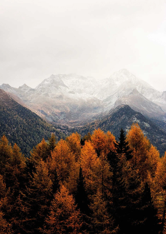Mountains