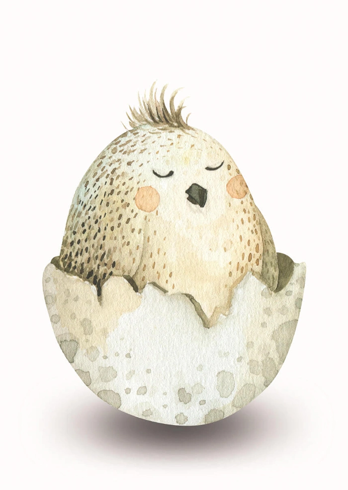 Little bird