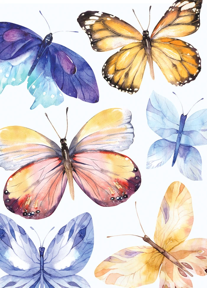 Butterflies