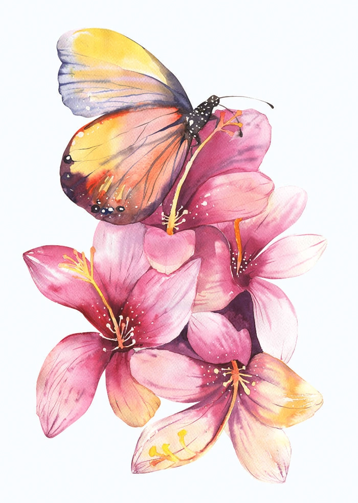 Butterfly on flowers