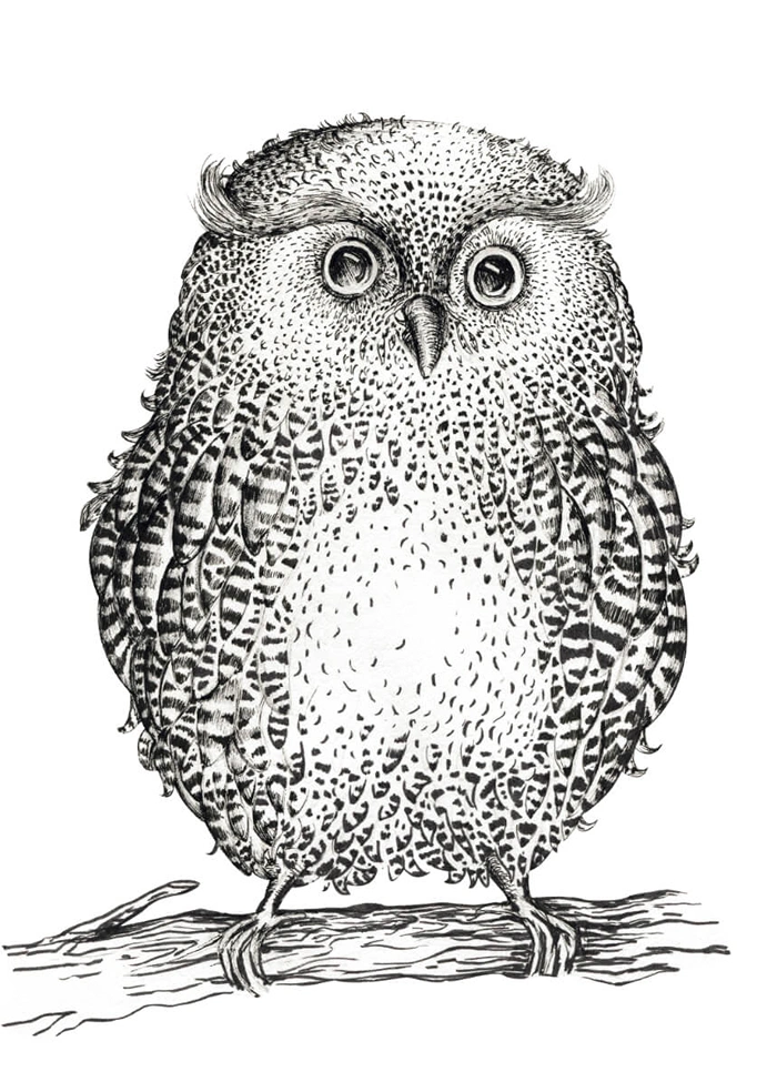 Owl on a branch