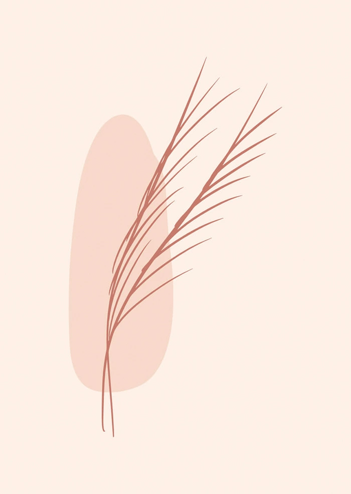 Savanna
