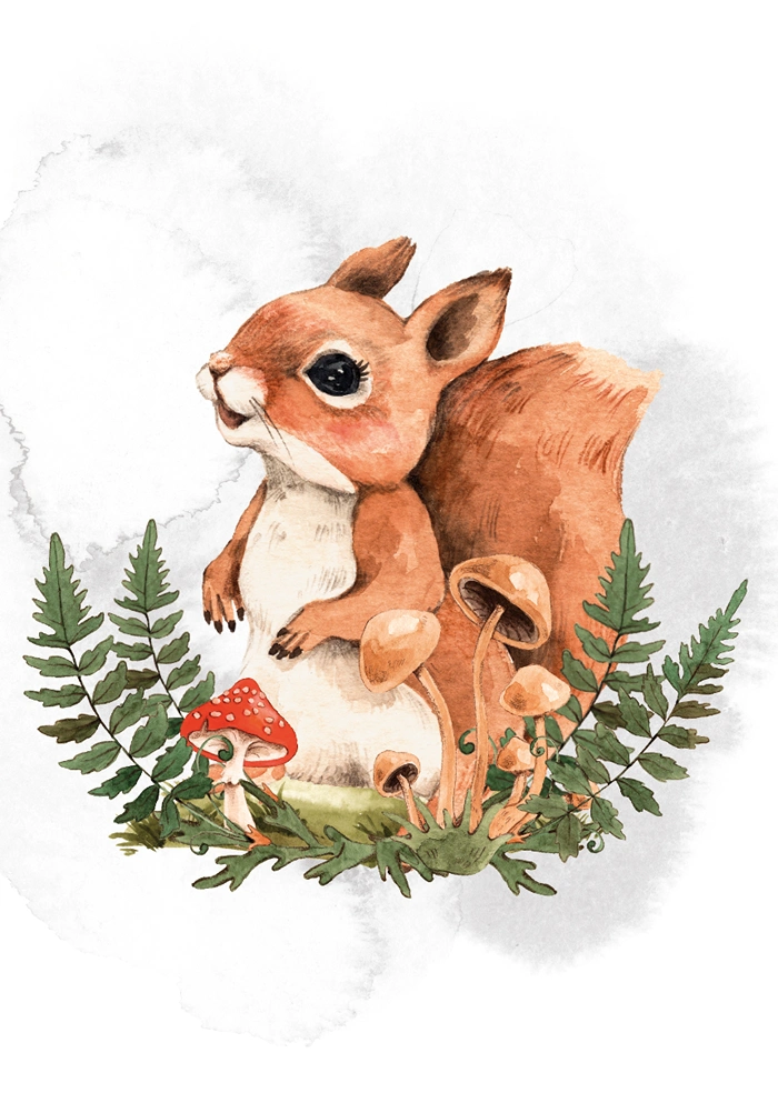 Little squirrel