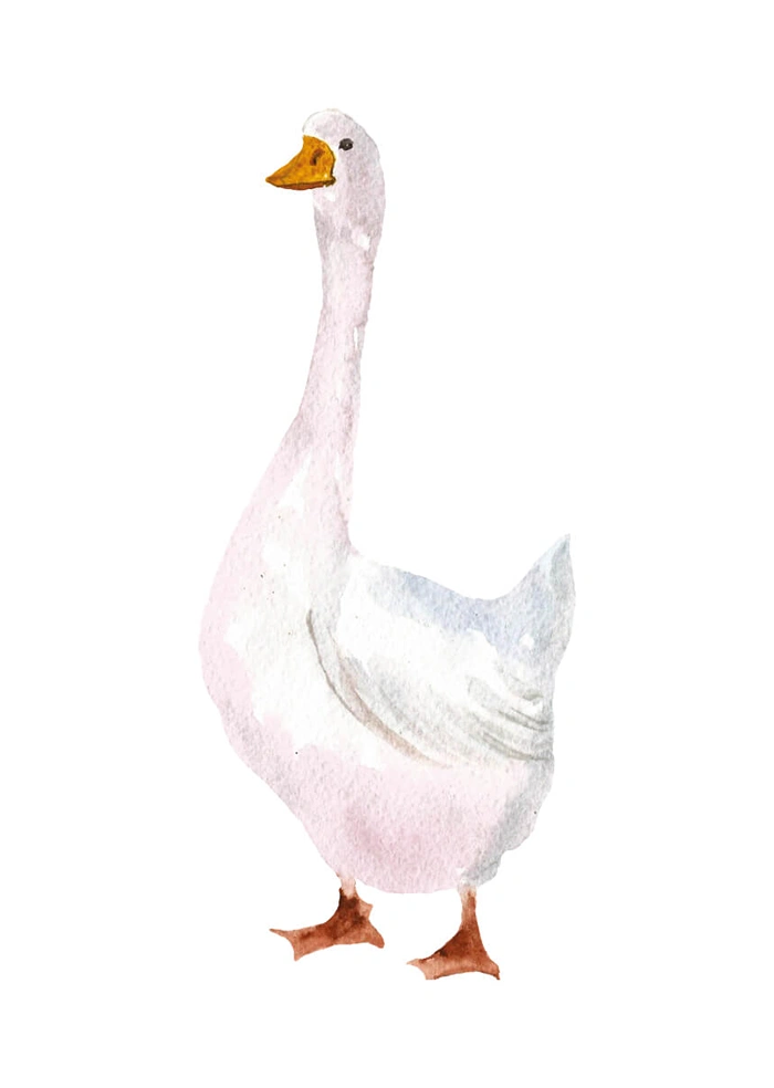 Gans