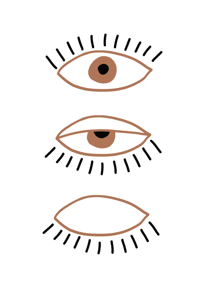 Auge