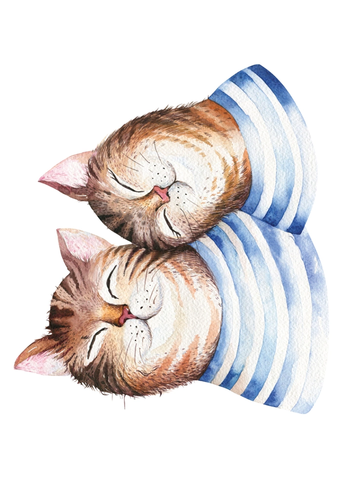 Katzen