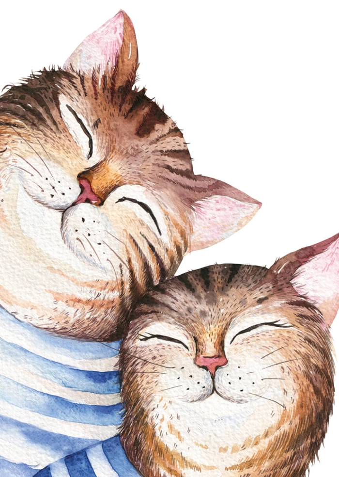 Katzen