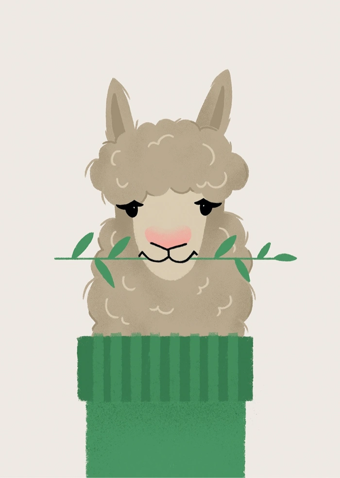 Alpaca