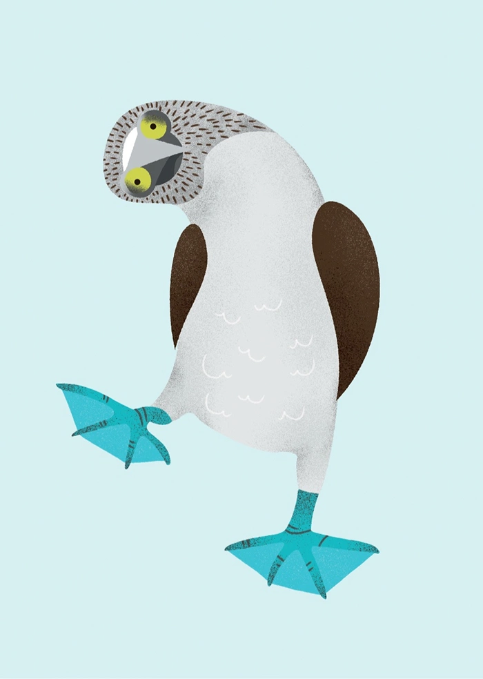 Bird