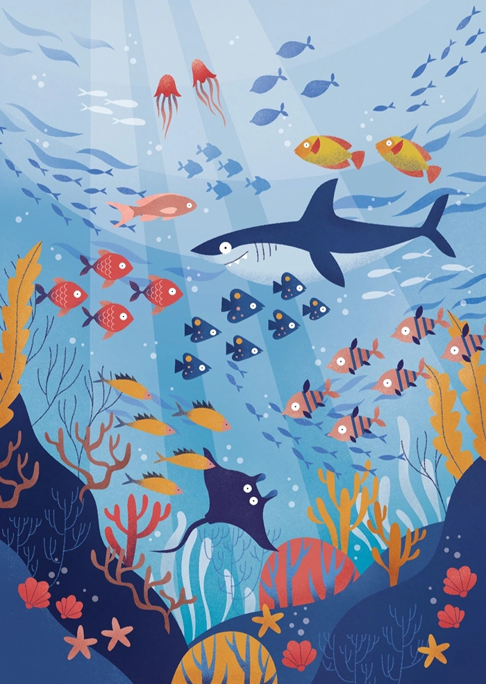 Ocean