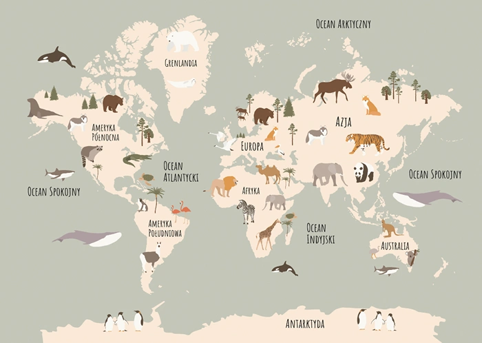 World Map