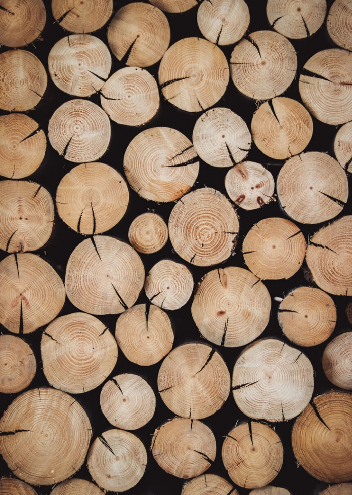Wood