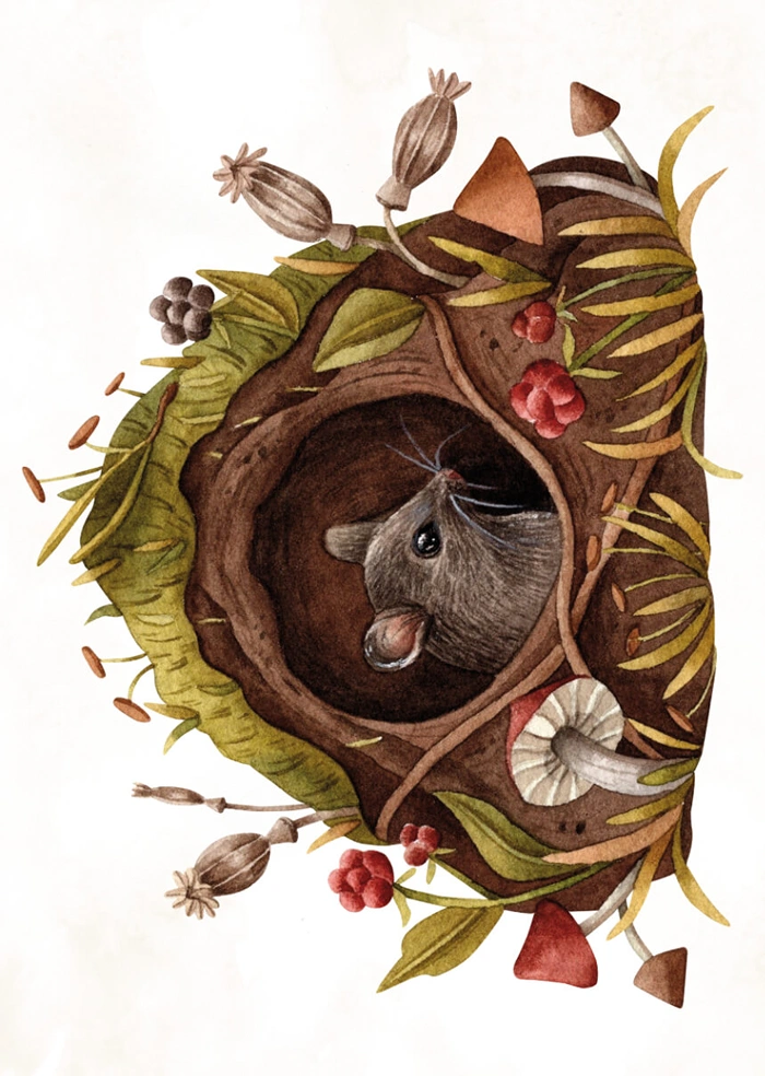 Little Mouse