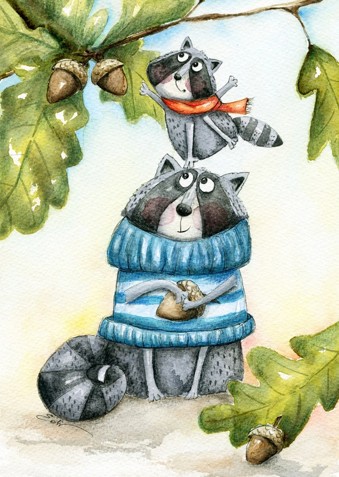 Raccoon