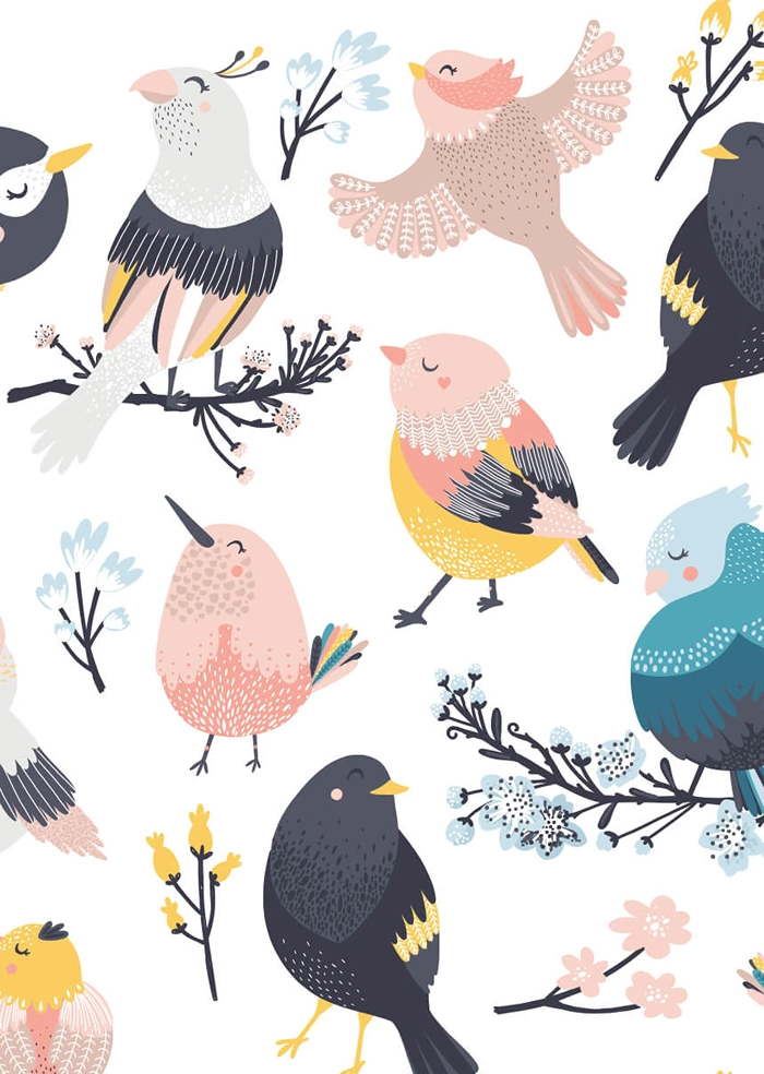 Birds