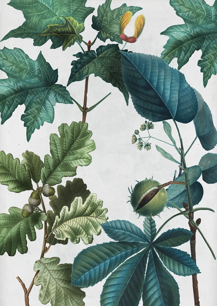 Tree leaves
