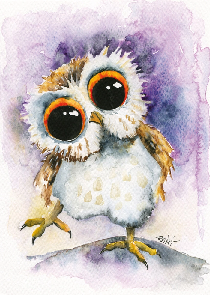 Little owl