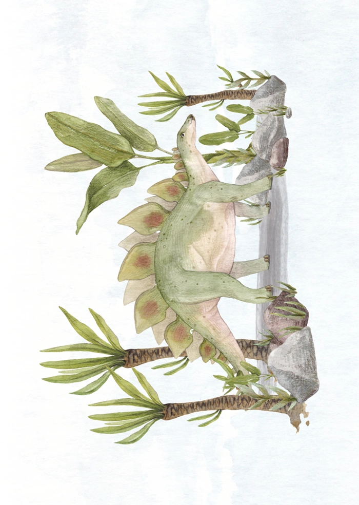 Stegosaurus