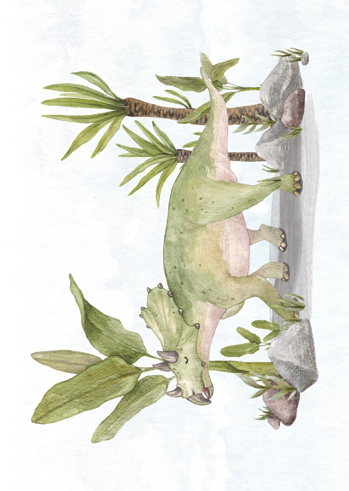 Triceratops