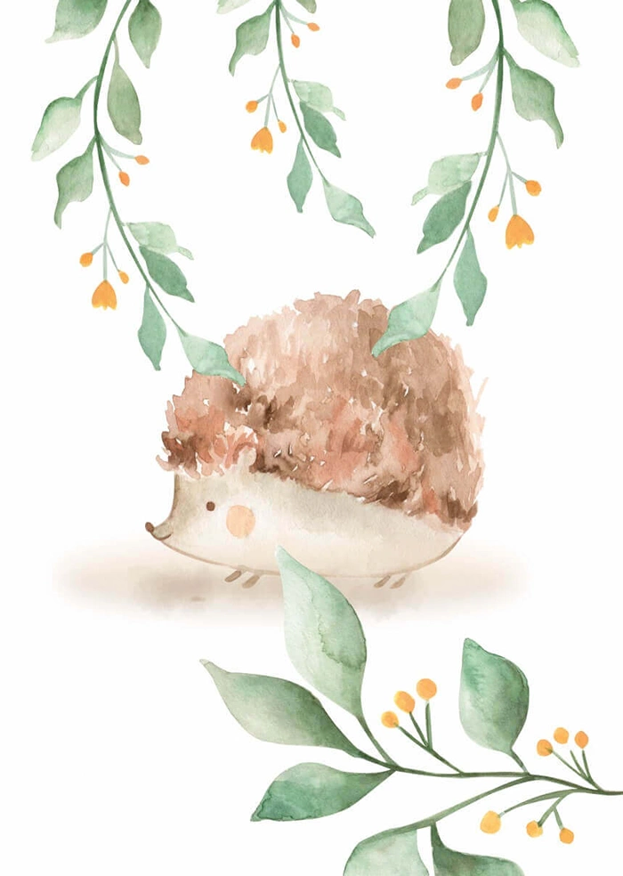Little hedgehog