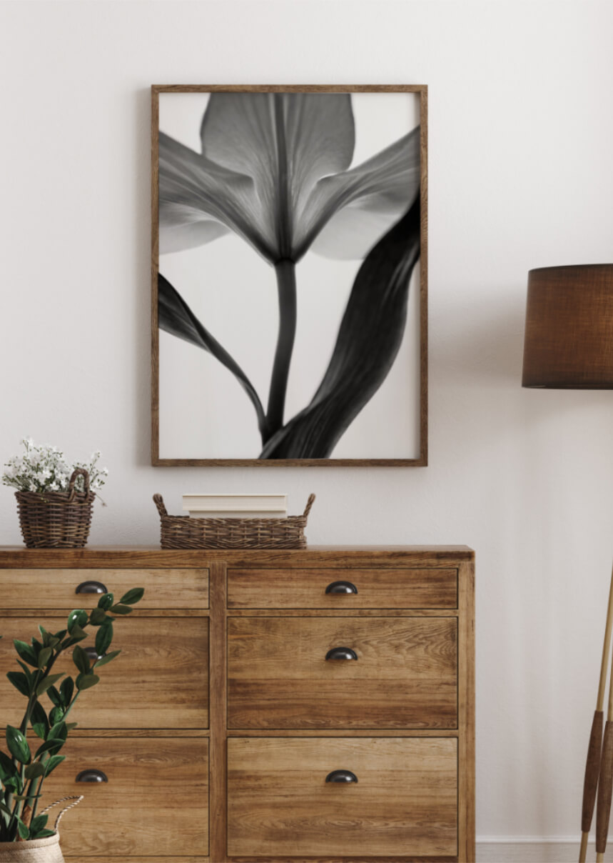 Lily flower – 1