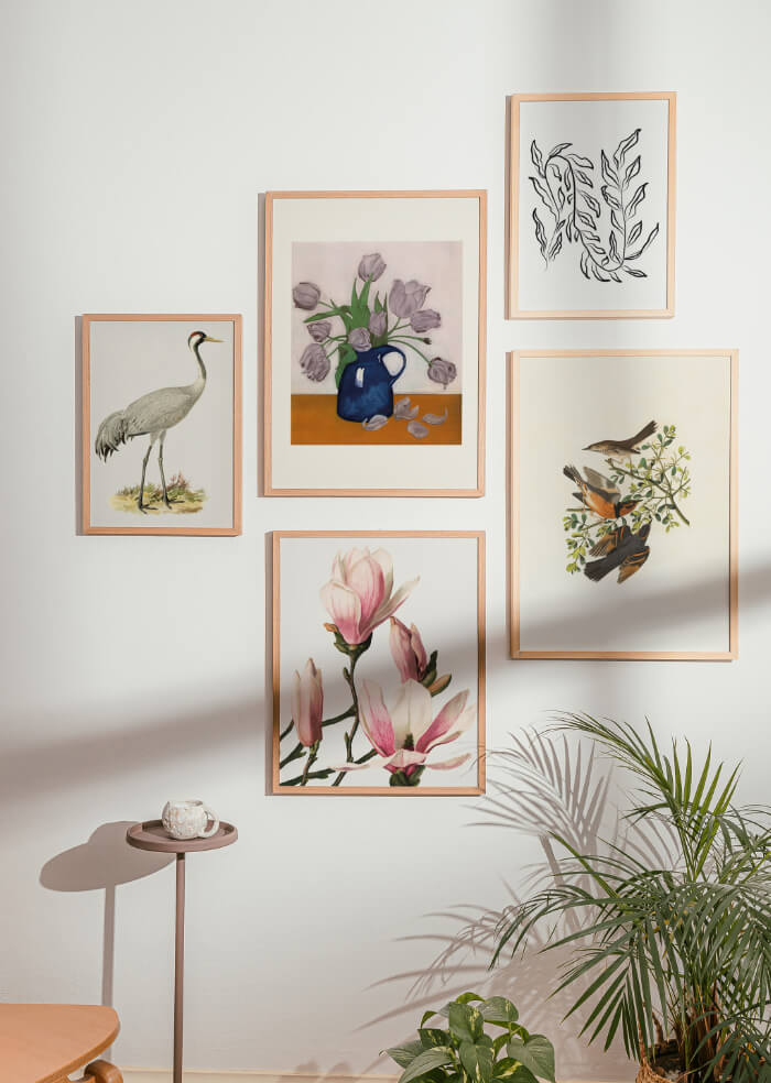 Tulpen – 1