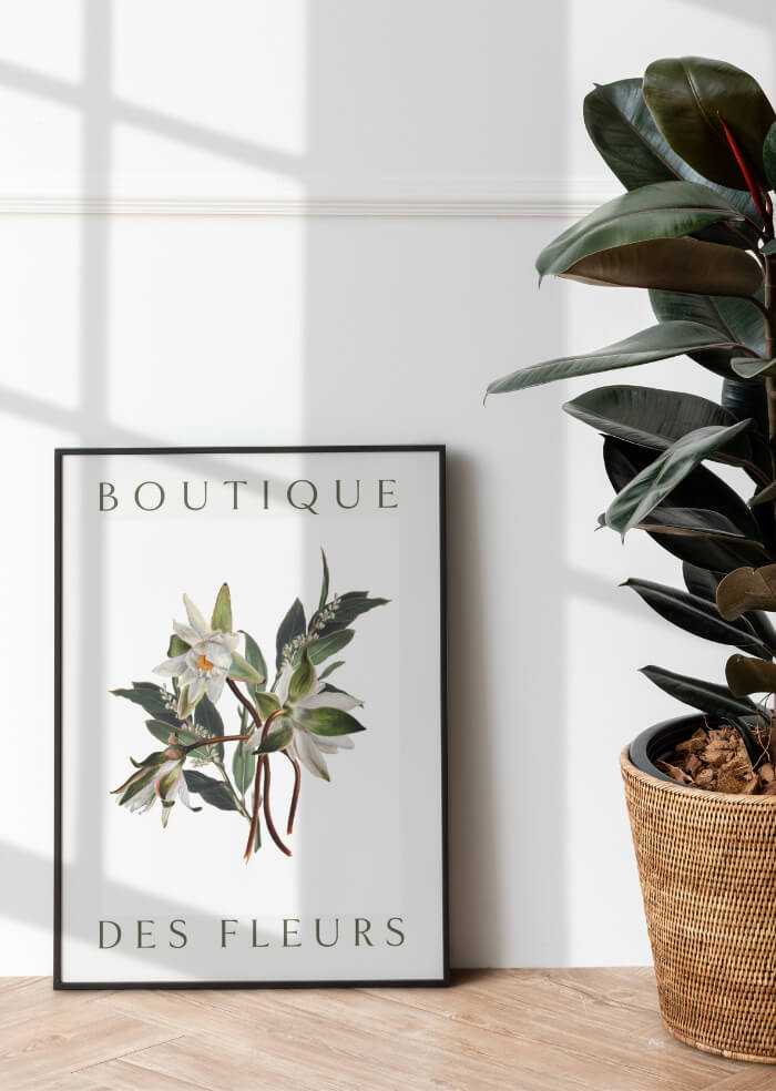 Botanical – 1