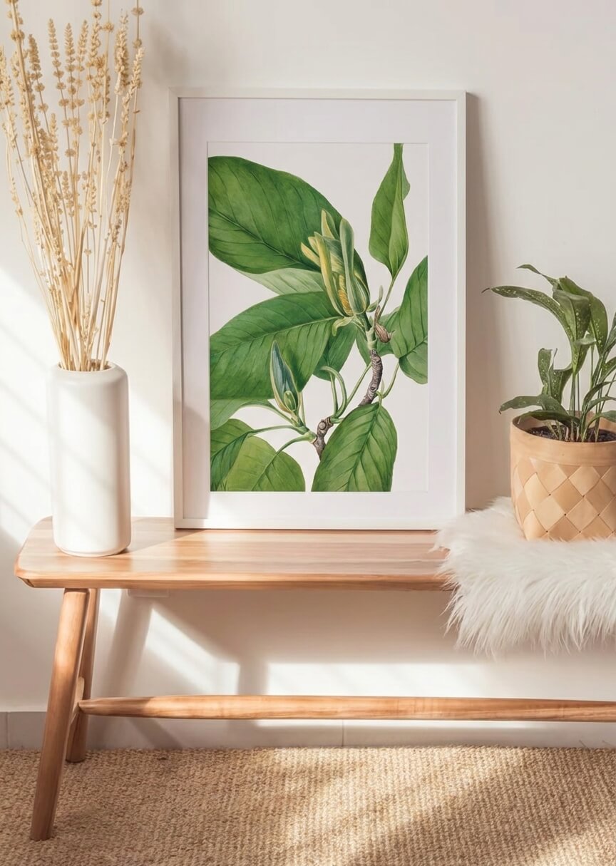 Magnolie – 1