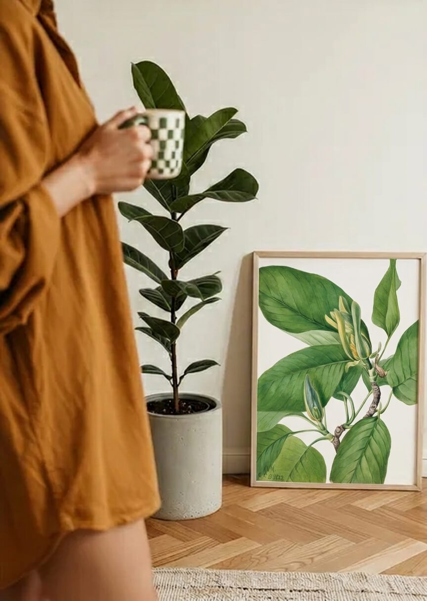 Magnolie – 2