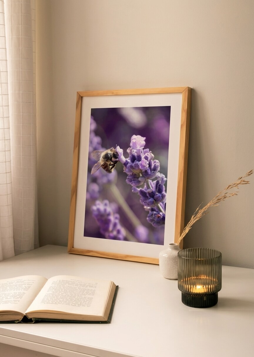 Lavendel – 1