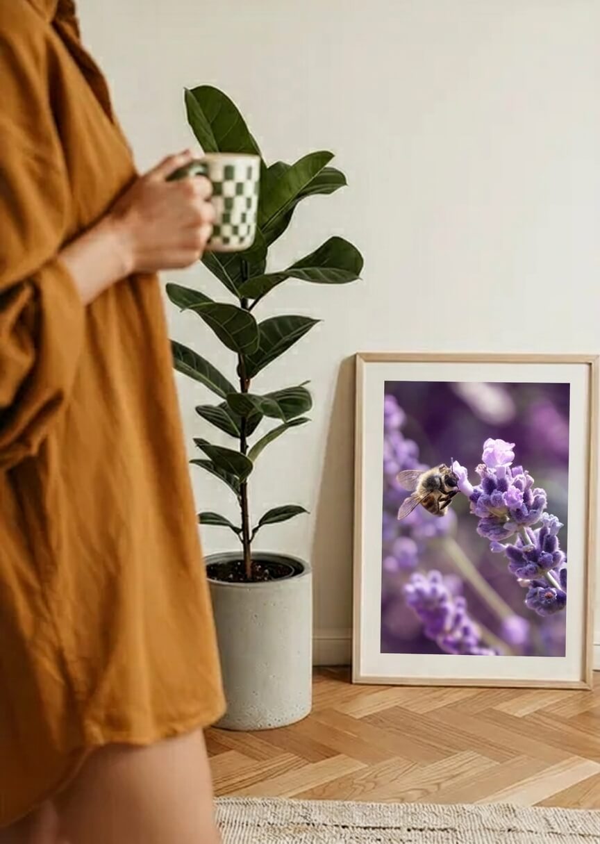 Lavendel – 2