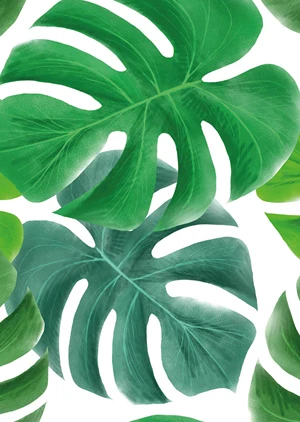 Leaves