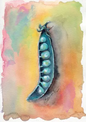 Erbsen