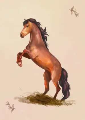Horse