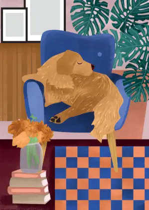 Dog