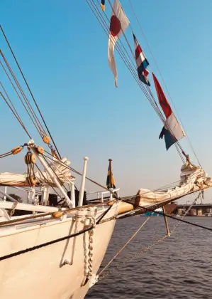 Sail