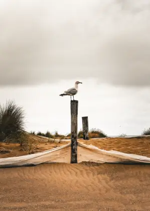 Dunkirk