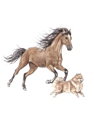Mustang